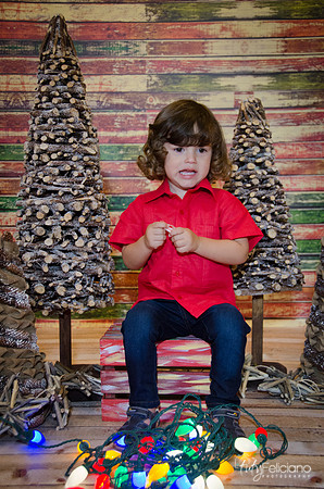 navidad 2014-11585