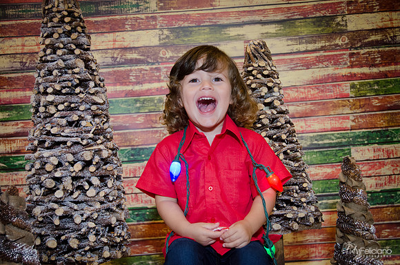navidad 2014-11712