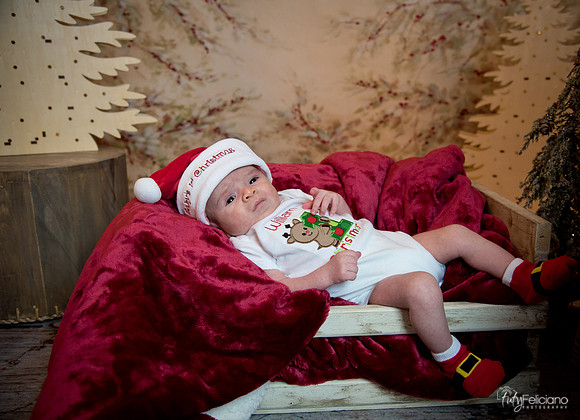 Navidad-3054