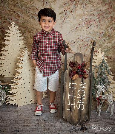 Navidad-18586