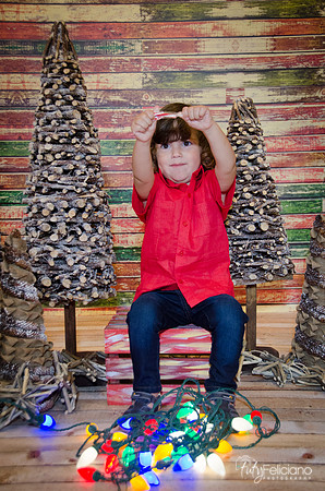 navidad 2014-11575