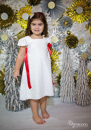 Navidad 2014-1374
