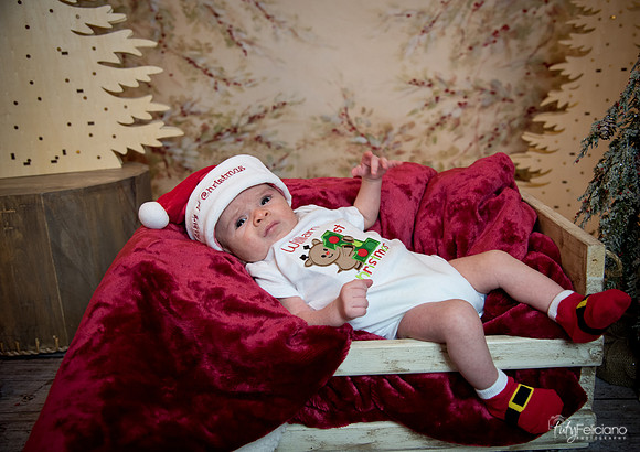 Navidad-3066