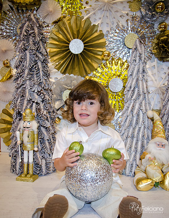 navidad 2014-1802