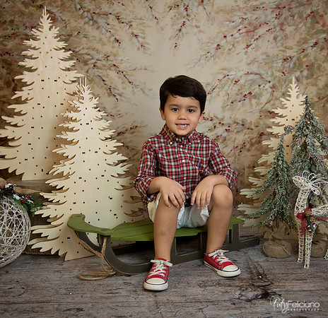 Navidad-18550