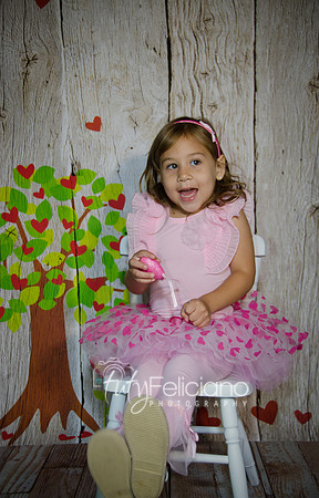 2014 Valentine-941