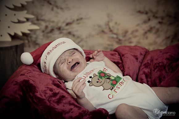 Navidad-3047