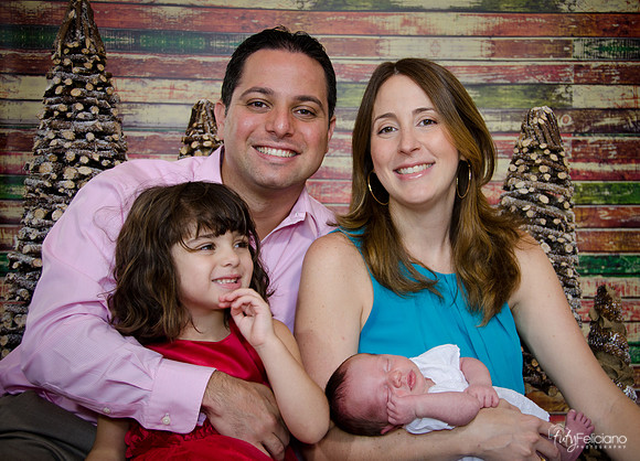 Navidad2014-121878