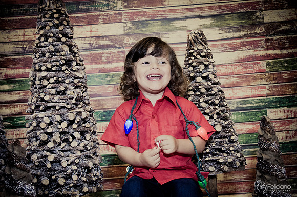 navidad 2014-11716