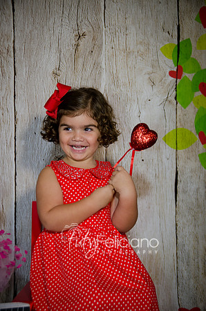2014 Valentine-1200
