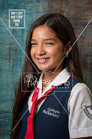 Adianez 4-2672