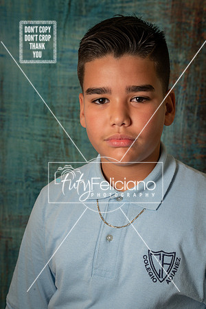 Adianez-1295