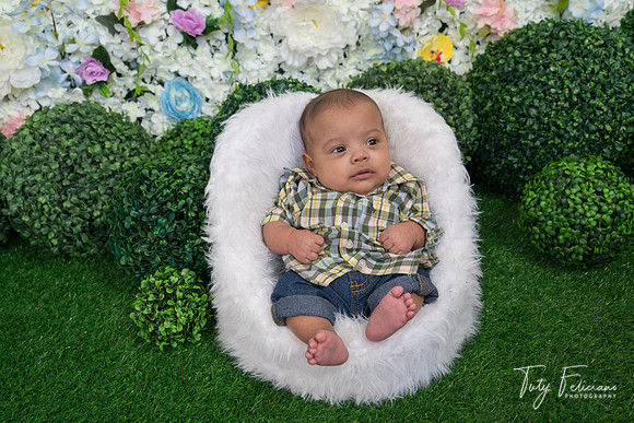 19-Spring-616