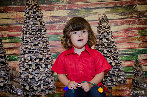 navidad 2014-11655