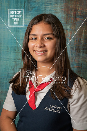 Adianez 3-1469