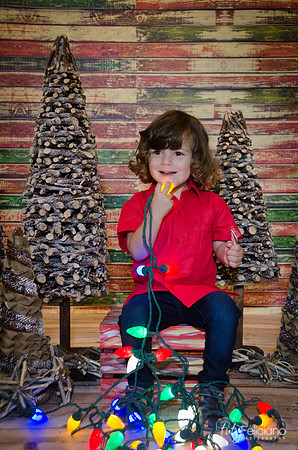 navidad 2014-11558