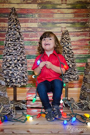 navidad 2014-11695