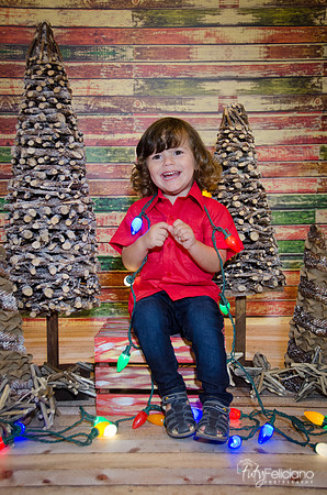 navidad 2014-11693