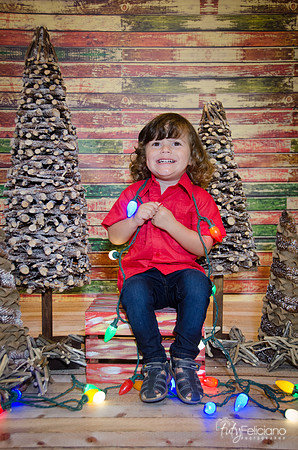 navidad 2014-11698